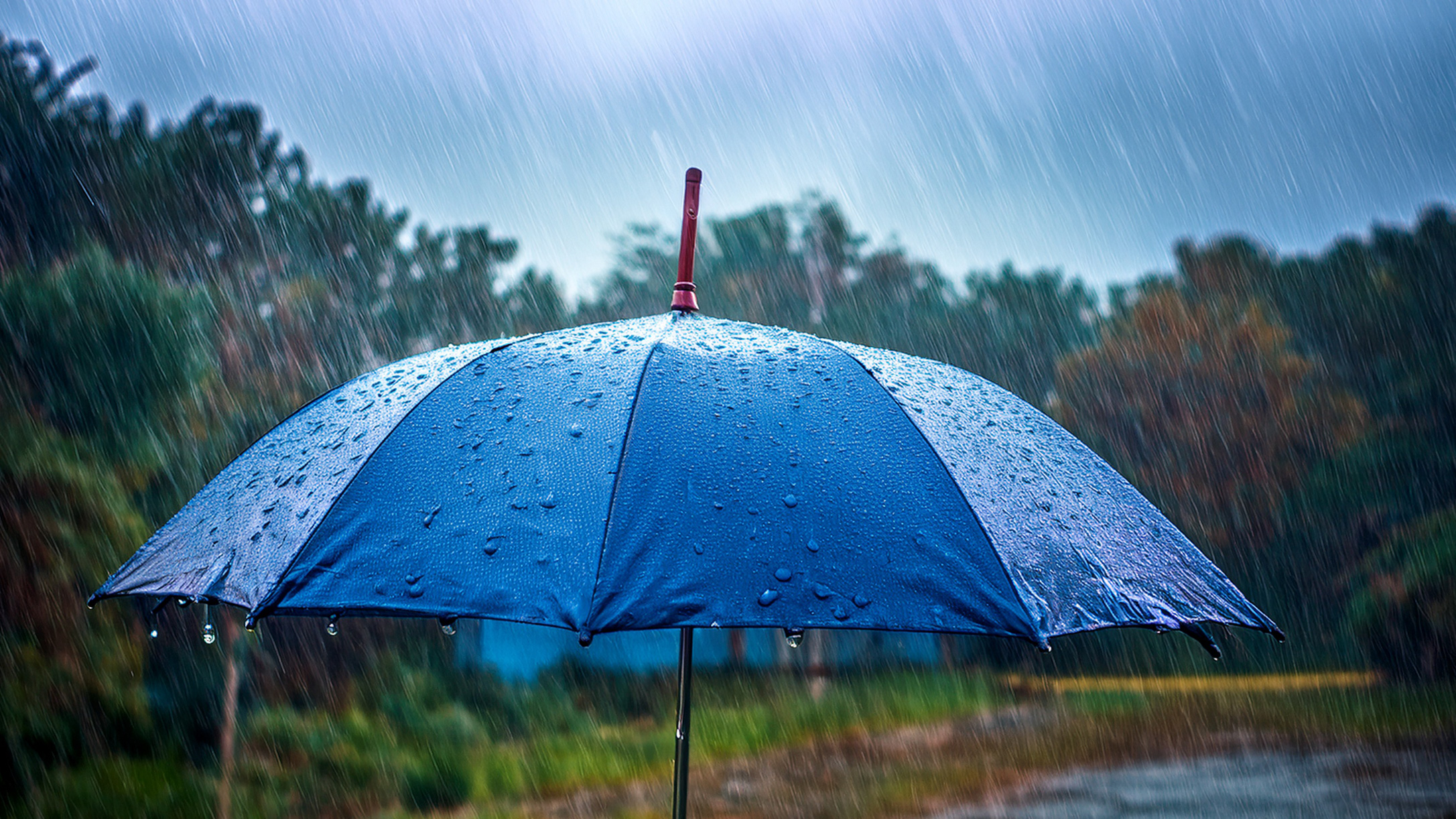 オランダの秋、雨とともに静かにスタート