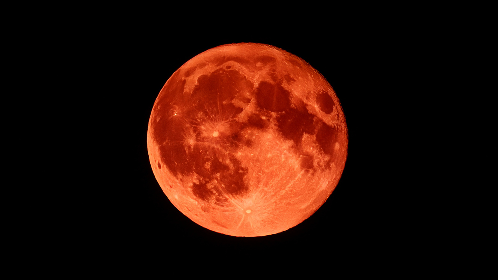 オランダの夜空にブラッドムーン、今日は最高17℃の春陽気