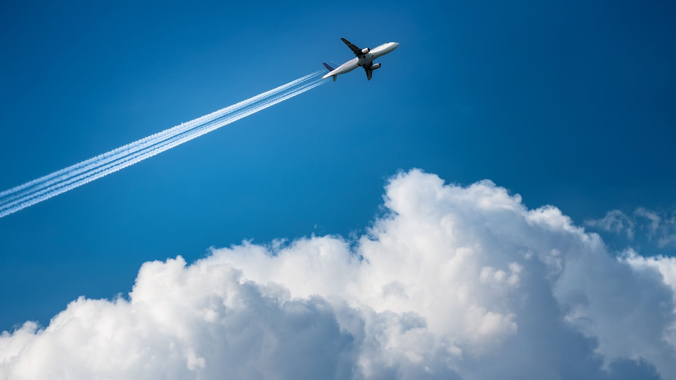 オランダ人の2024年の移動距離、飛行機と車でそれぞれ1,000億キロ超え