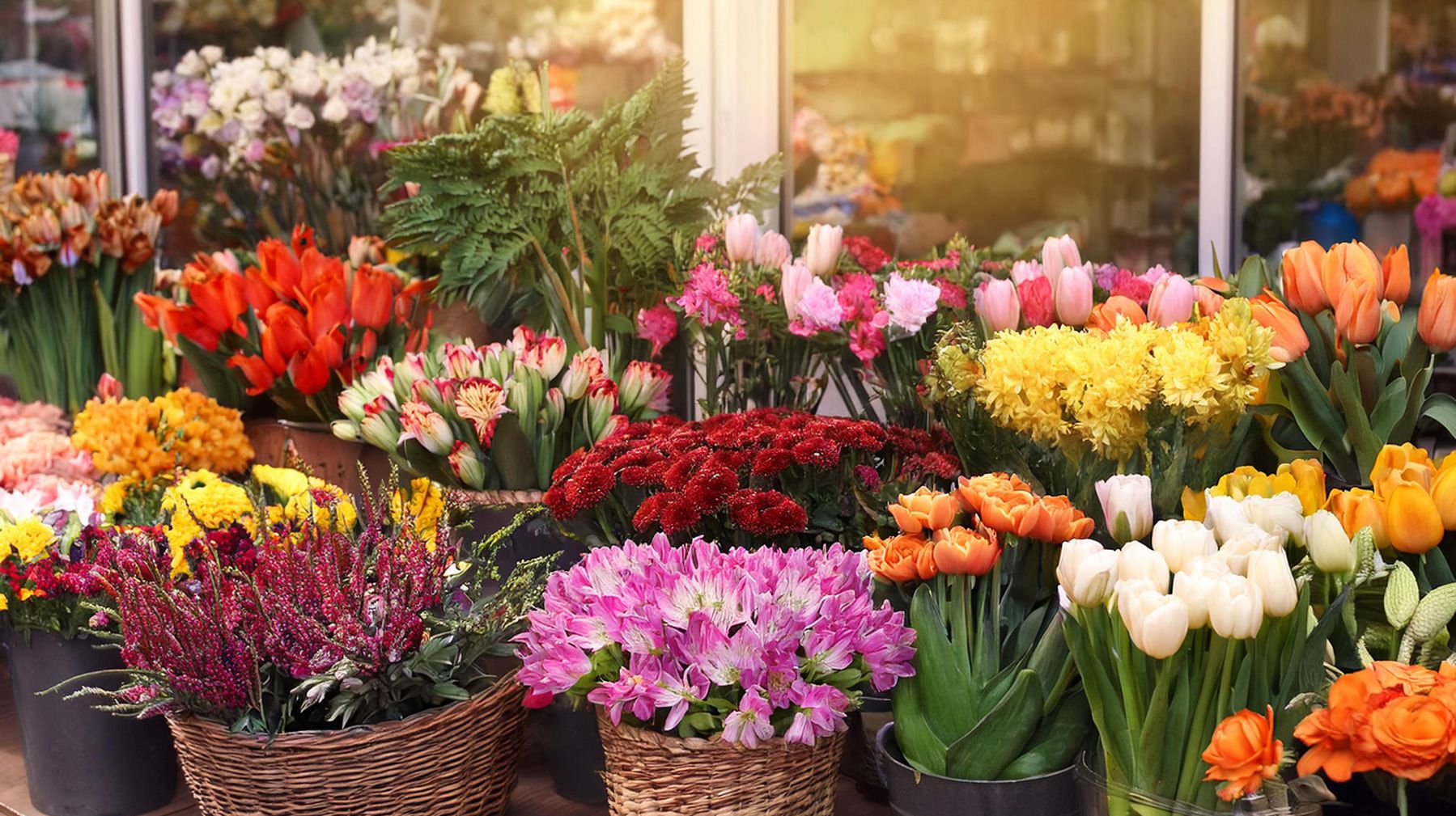 オランダの花屋が6年間で急減 バレンタイン需要にも影響