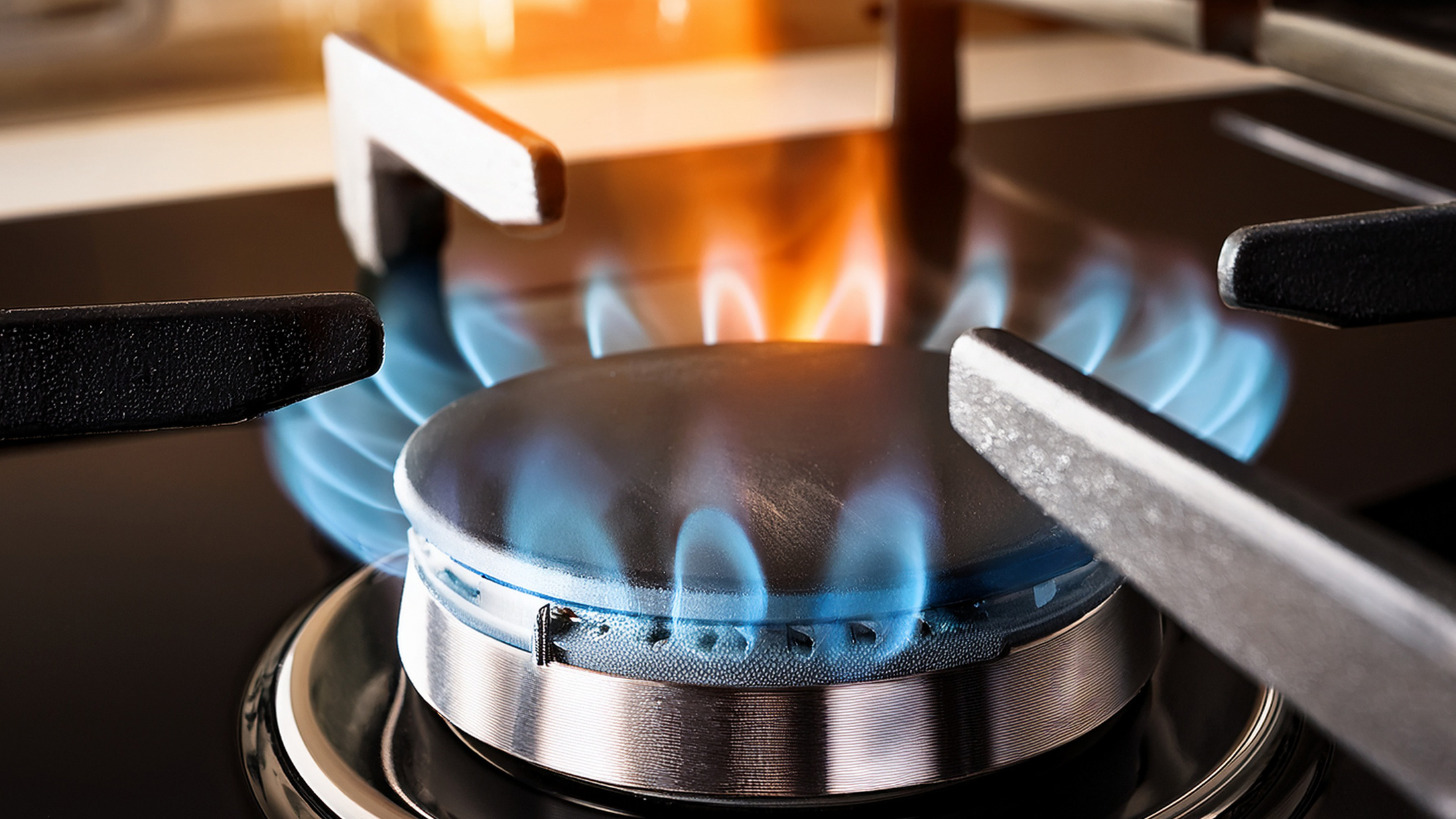 長期ガス契約は割高に─数百ユーロの価格差、背景にCO2課税