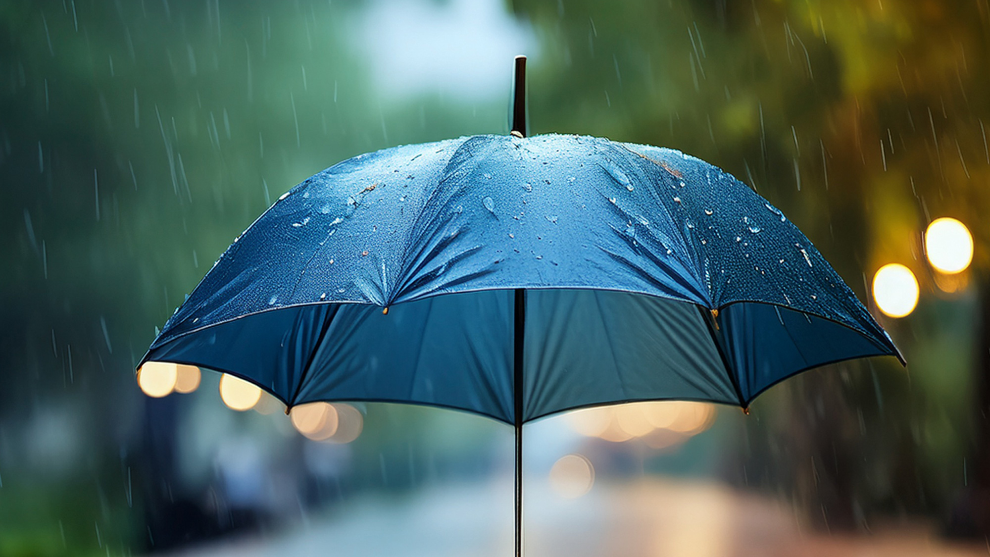 オランダ全土を襲った嵐、弱まるも 週半ばまでは変わりやすい天気に